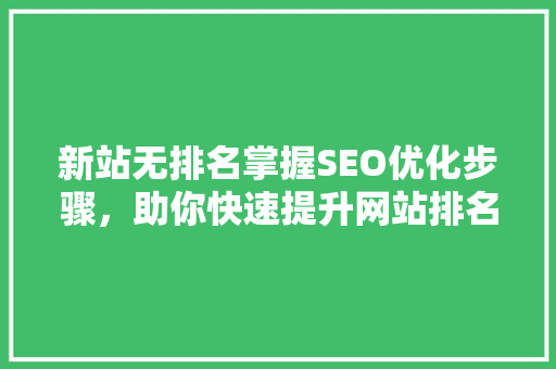新站无排名掌握SEO优化步骤，助你快速提升网站排名