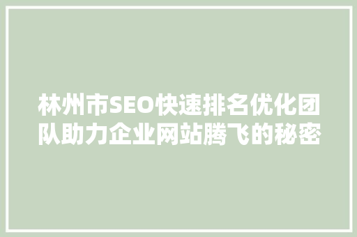 林州市SEO快速排名优化团队助力企业网站腾飞的秘密武器