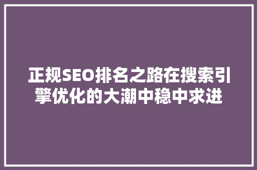 正规SEO排名之路在搜索引擎优化的大潮中稳中求进