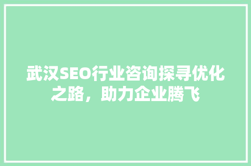 武汉SEO行业咨询探寻优化之路，助力企业腾飞