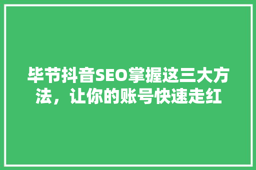 毕节抖音SEO掌握这三大方法，让你的账号快速走红