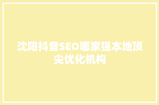 沈阳抖音SEO哪家强本地顶尖优化机构