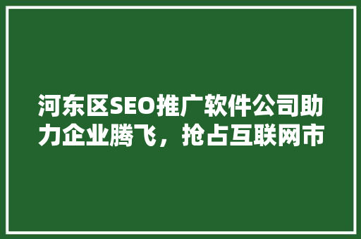 河东区SEO推广软件公司助力企业腾飞，抢占互联网市场先机