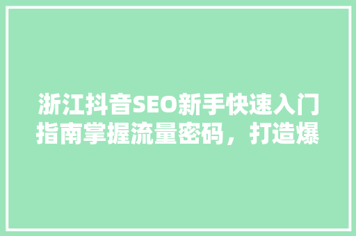 浙江抖音SEO新手快速入门指南掌握流量密码，打造爆款短视频