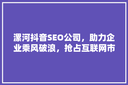漯河抖音SEO公司，助力企业乘风破浪，抢占互联网市场制高点