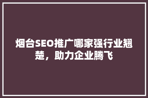 烟台SEO推广哪家强行业翘楚，助力企业腾飞