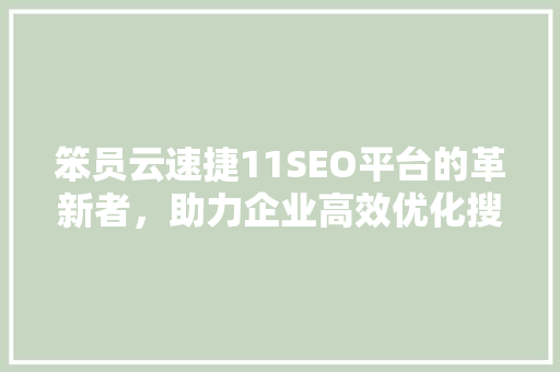 笨员云速捷11SEO平台的革新者，助力企业高效优化搜索引擎排名
