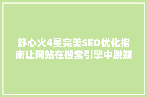 舒心火4星完美SEO优化指南让网站在搜索引擎中脱颖而出