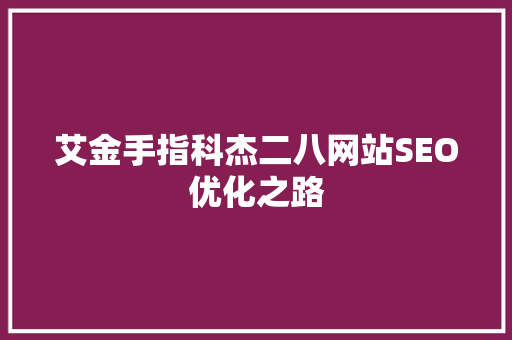 艾金手指科杰二八网站SEO优化之路