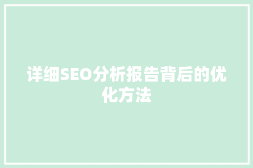 详细SEO分析报告背后的优化方法
