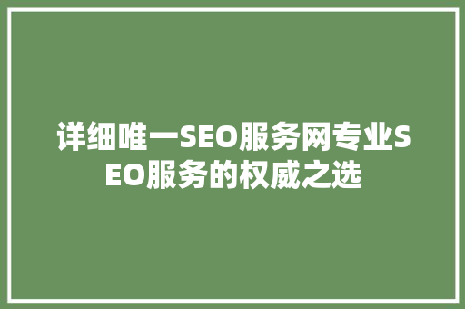 详细唯一SEO服务网专业SEO服务的权威之选