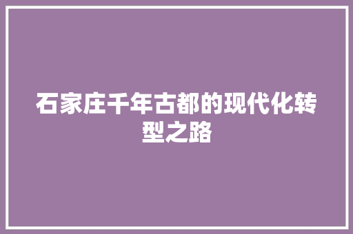石家庄千年古都的现代化转型之路  第1张