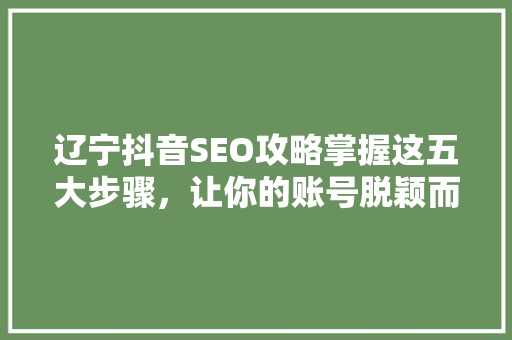 辽宁抖音SEO攻略掌握这五大步骤，让你的账号脱颖而出