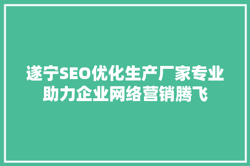 遂宁SEO优化生产厂家专业助力企业网络营销腾飞