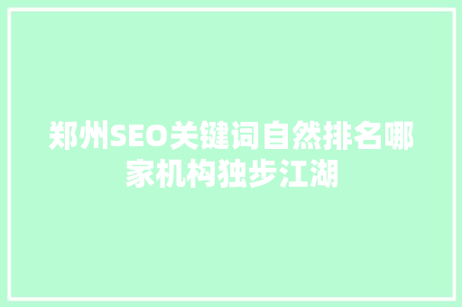 郑州SEO关键词自然排名哪家机构独步江湖