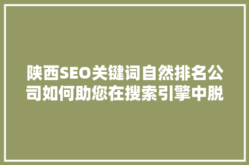 陕西SEO关键词自然排名公司如何助您在搜索引擎中脱颖而出