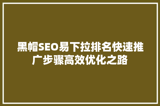 黑帽SEO易下拉排名快速推广步骤高效优化之路