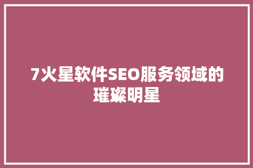 7火星软件SEO服务领域的璀璨明星