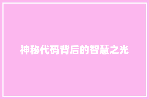 神秘代码背后的智慧之光