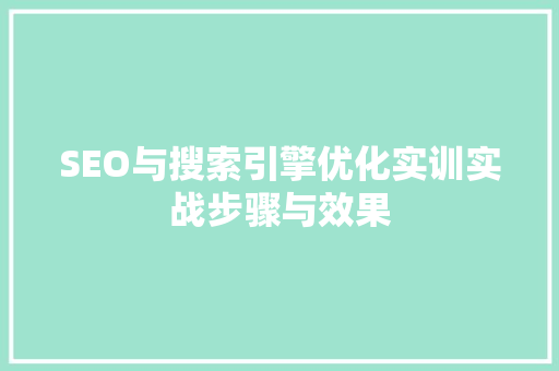 SEO与搜索引擎优化实训实战步骤与效果