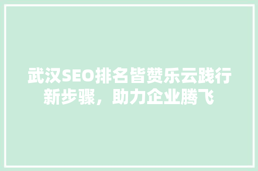 武汉SEO排名皆赞乐云践行新步骤，助力企业腾飞