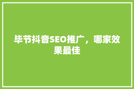 毕节抖音SEO推广，哪家效果最佳