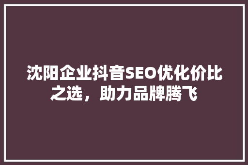 沈阳企业抖音SEO优化价比之选，助力品牌腾飞