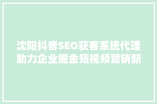 沈阳抖音SEO获客系统代理助力企业掘金短视频营销新蓝海