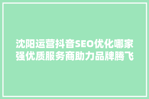 沈阳运营抖音SEO优化哪家强优质服务商助力品牌腾飞之路