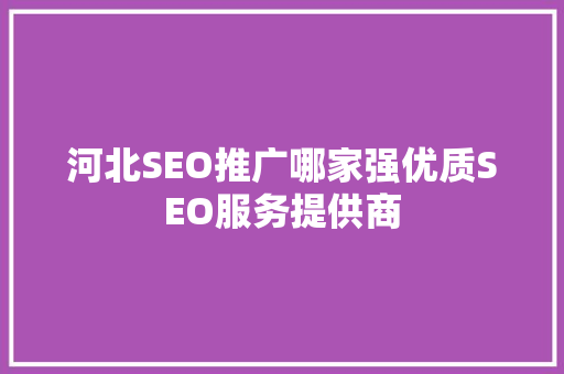 河北SEO推广哪家强优质SEO服务提供商
