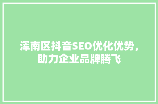 浑南区抖音SEO优化优势，助力企业品牌腾飞