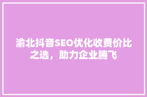 渝北抖音SEO优化收费价比之选，助力企业腾飞