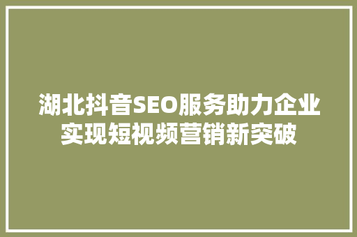 湖北抖音SEO服务助力企业实现短视频营销新突破
