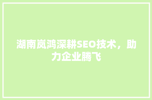 湖南岚鸿深耕SEO技术，助力企业腾飞