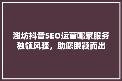 潍坊抖音SEO运营哪家服务独领风骚，助您脱颖而出