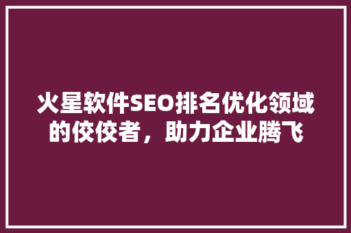 火星软件SEO排名优化领域的佼佼者，助力企业腾飞
