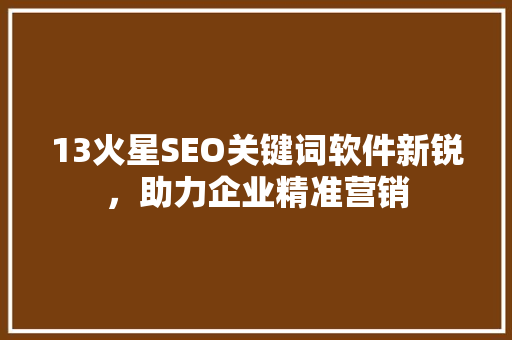 13火星SEO关键词软件新锐，助力企业精准营销