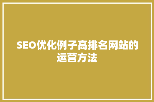 SEO优化例子高排名网站的运营方法
