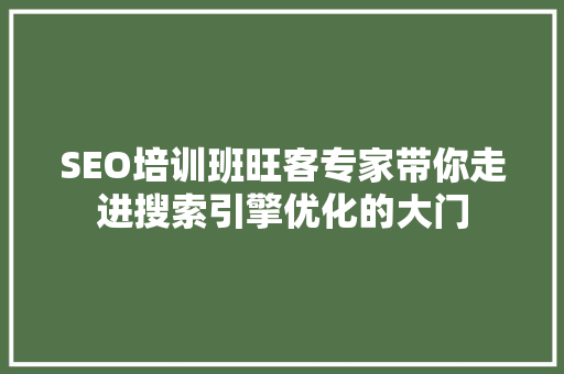 SEO培训班旺客专家带你走进搜索引擎优化的大门