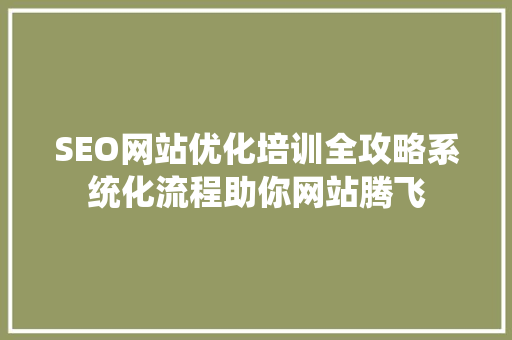 SEO网站优化培训全攻略系统化流程助你网站腾飞