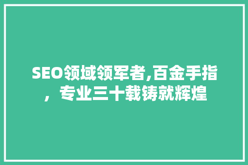 SEO领域领军者,百金手指，专业三十载铸就辉煌