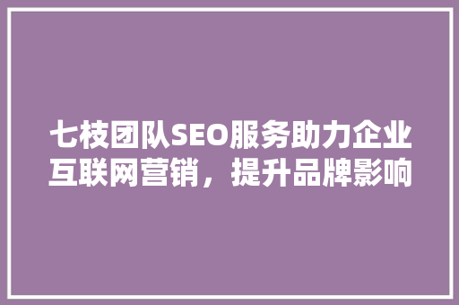 七枝团队SEO服务助力企业互联网营销，提升品牌影响力