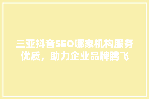 三亚抖音SEO哪家机构服务优质，助力企业品牌腾飞