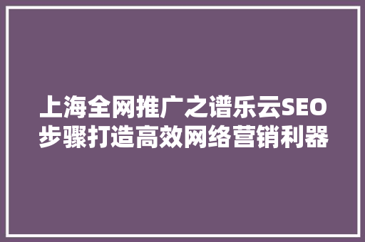 上海全网推广之谱乐云SEO步骤打造高效网络营销利器