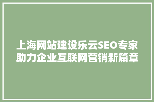 上海网站建设乐云SEO专家助力企业互联网营销新篇章