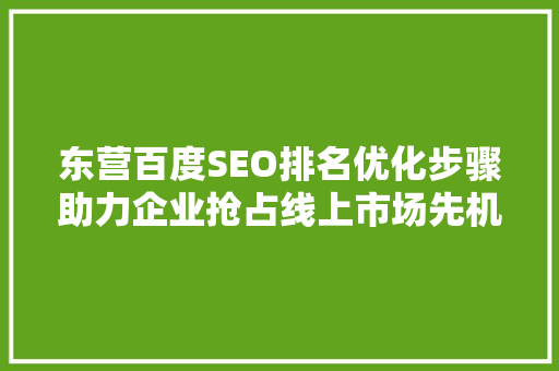东营百度SEO排名优化步骤助力企业抢占线上市场先机