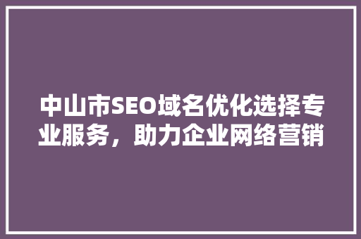 中山市SEO域名优化选择专业服务，助力企业网络营销腾飞