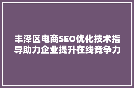 丰泽区电商SEO优化技术指导助力企业提升在线竞争力