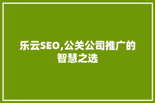乐云SEO,公关公司推广的智慧之选