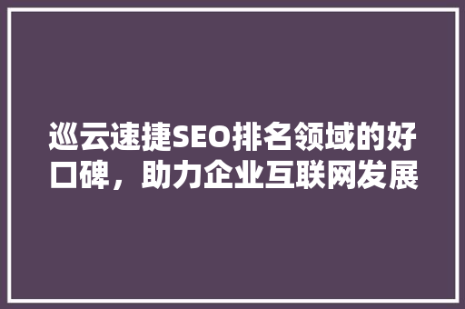 巡云速捷SEO排名领域的好口碑，助力企业互联网发展